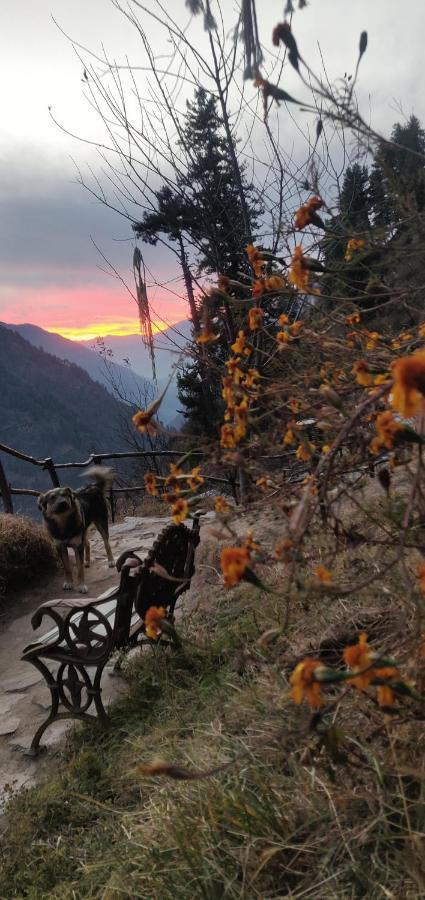 Parvatis Lap Luxury Hostel & Camps Kasol Exterior foto